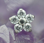 Daisy Flower (Small & Large) by NeoMetal
