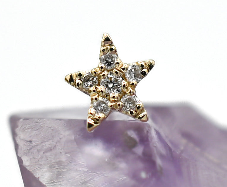 Charlotte (5 Point Star) by Modern Mood