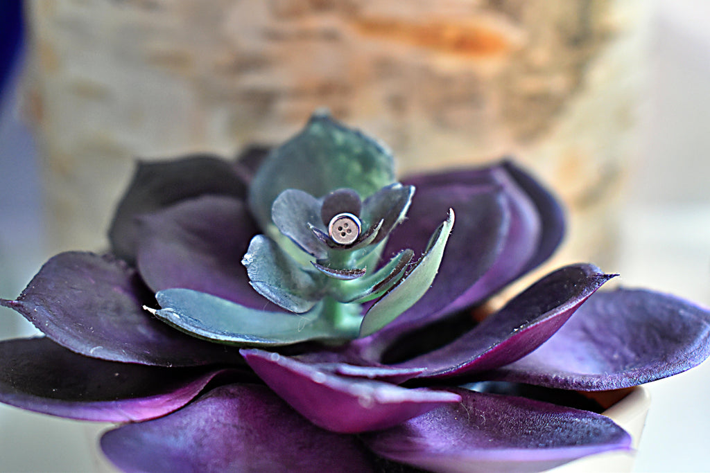 Threadless Sandblasted Button by BVLA