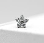 Daisy Flower (Small & Large) by NeoMetal