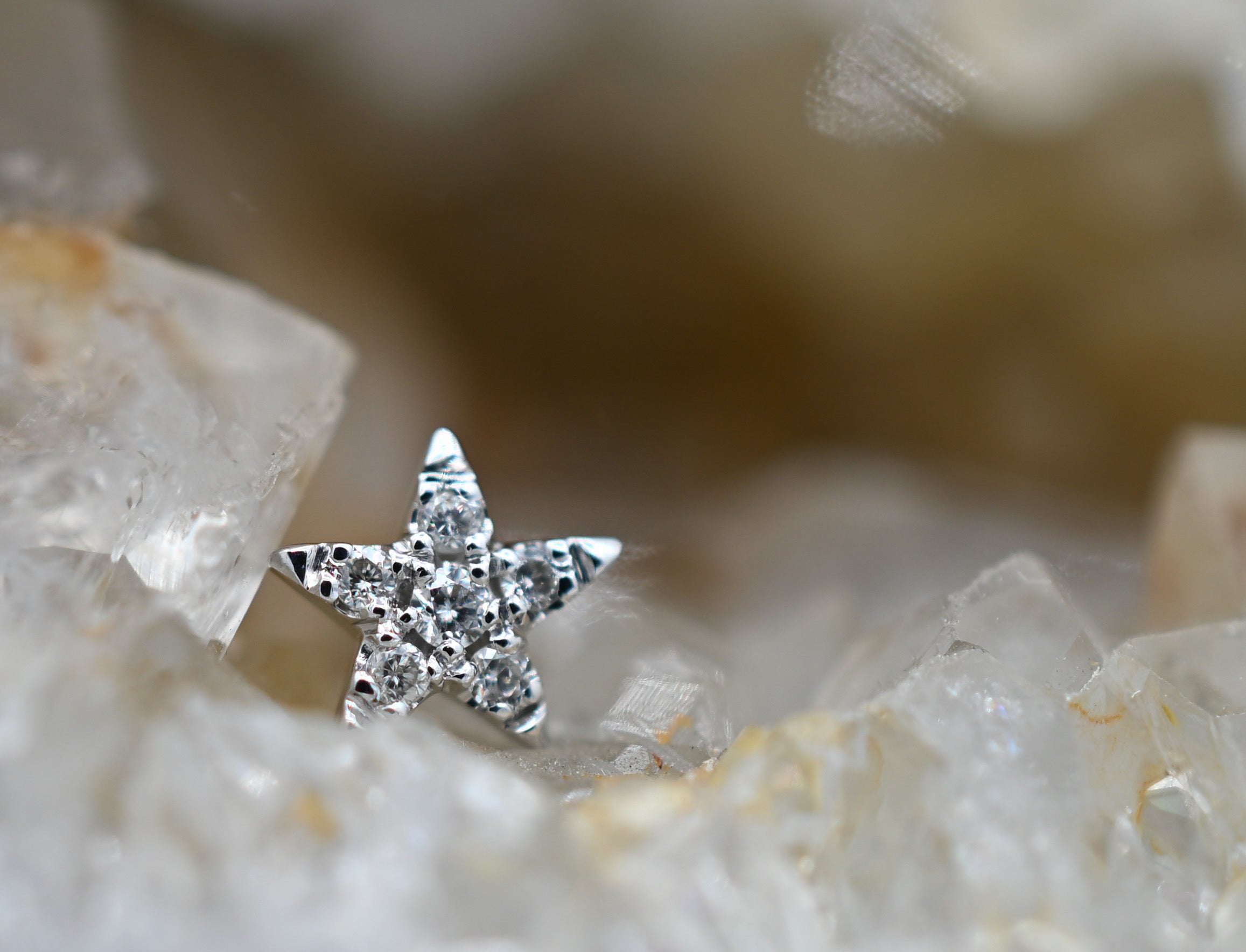 Charlotte (5 Point Star) by Modern Mood