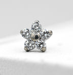Daisy Flower (Small & Large) by NeoMetal