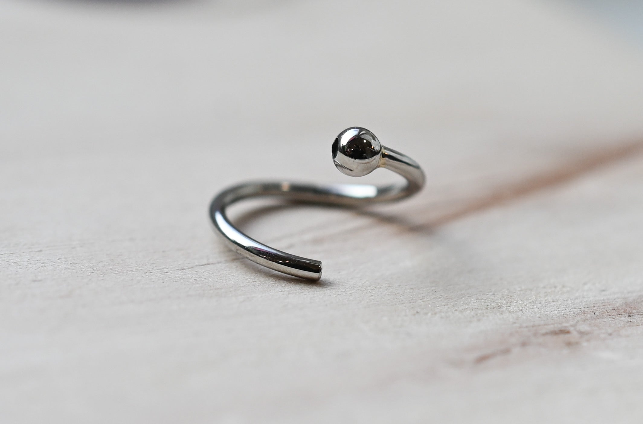 16g Stainless Steel Fixed Bead Ring by Anatometal