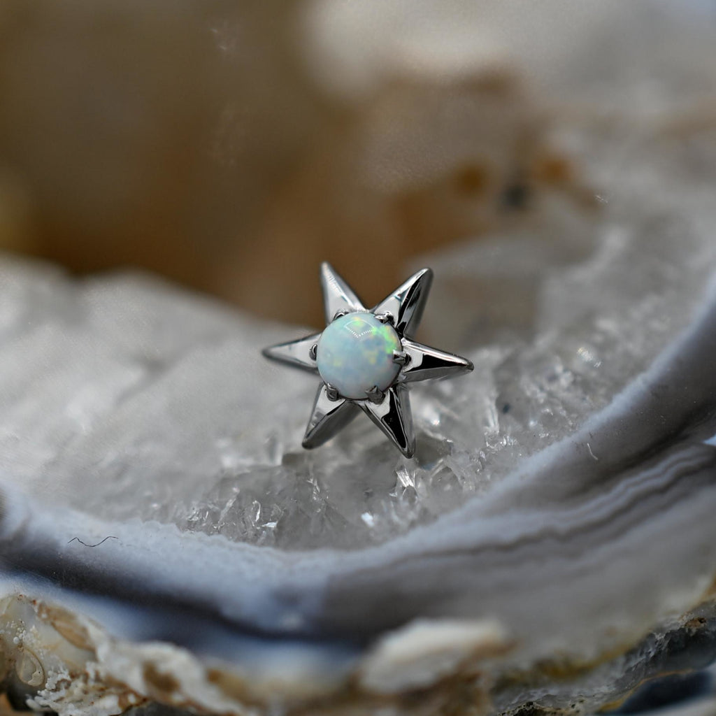 Six Point North Star by Anatometal (ALL COLORS)