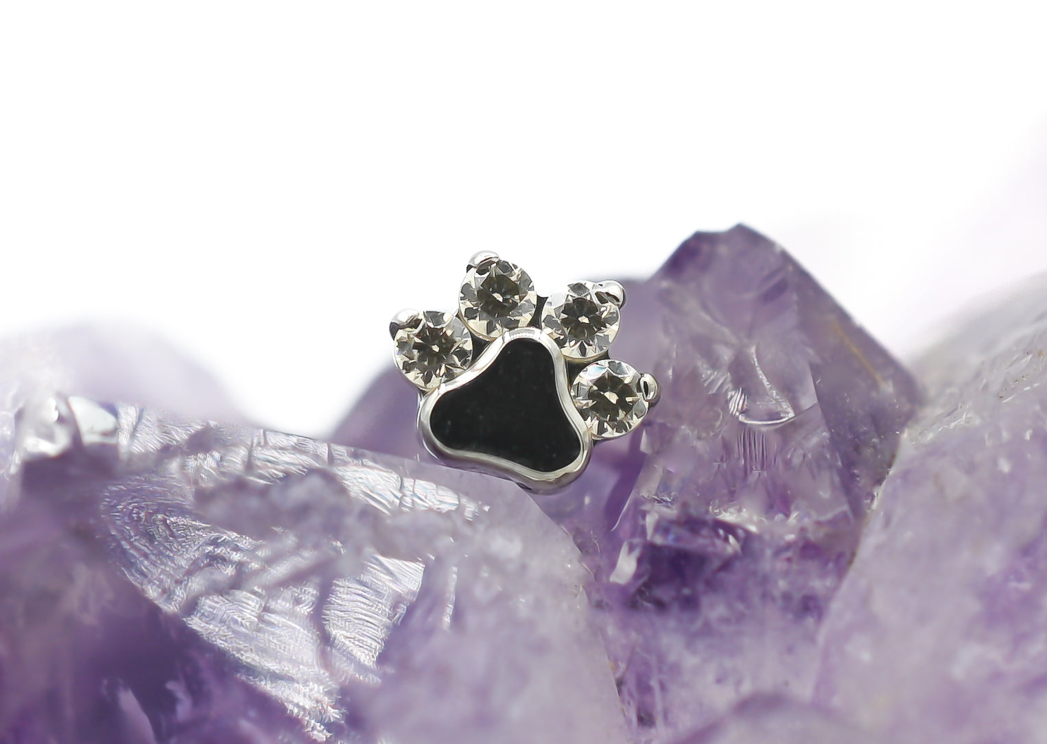 Paw Print by Industrial Strength