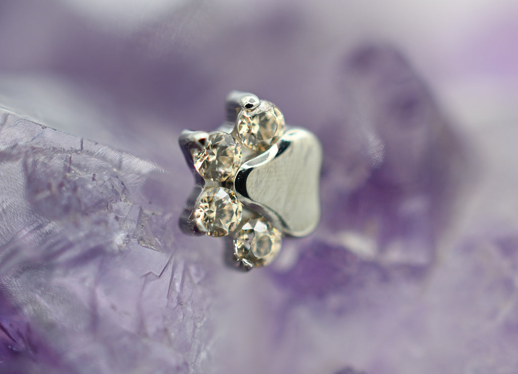 Paw Print by Industrial Strength