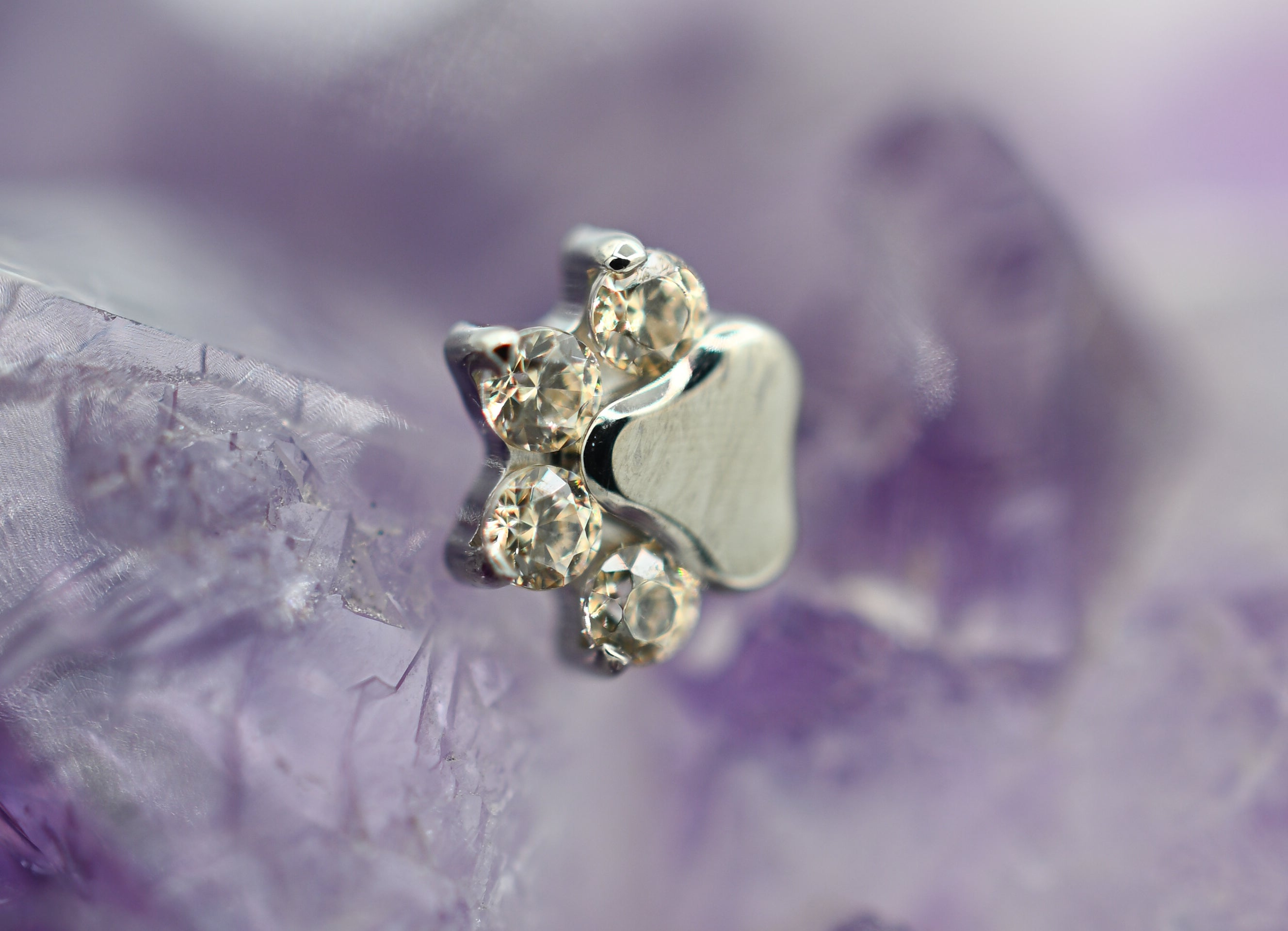 Paw Print by Industrial Strength