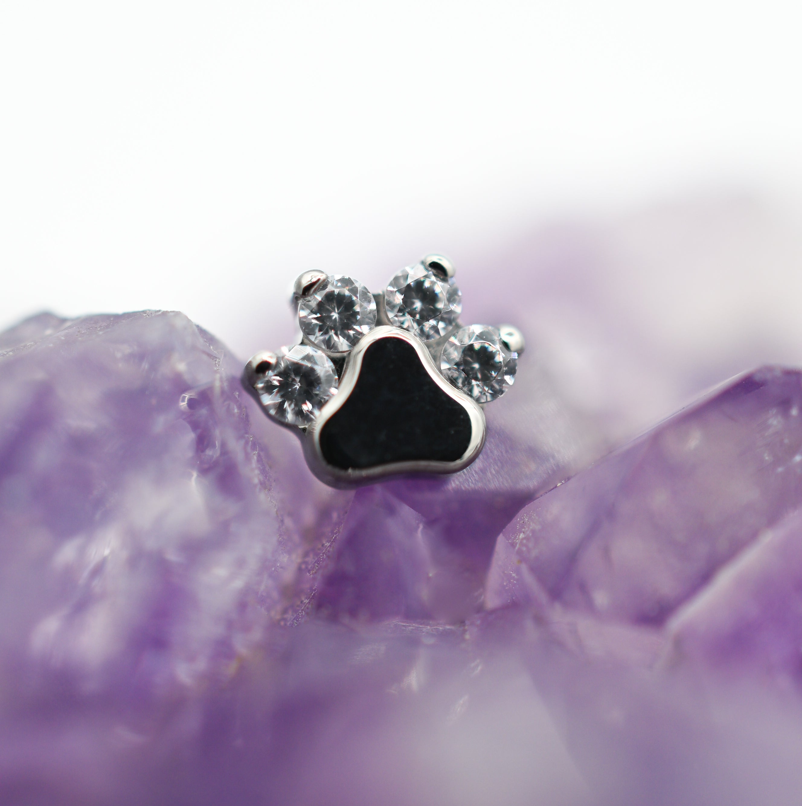 Paw Print by Industrial Strength