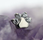 Paw Print by Industrial Strength