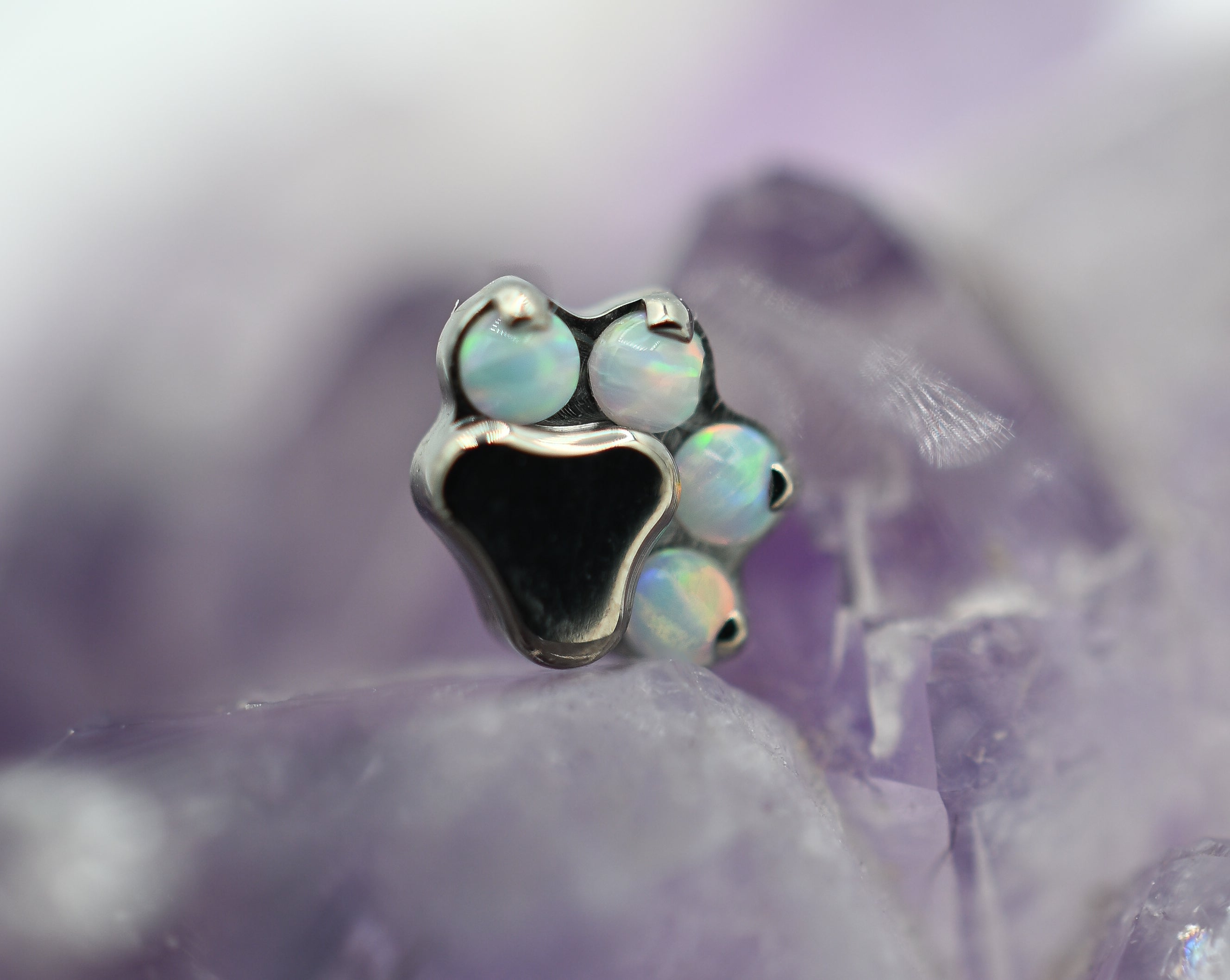 Paw Print by Industrial Strength