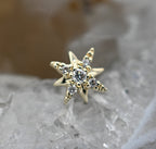 Kira - White Diamond by Modern Mood