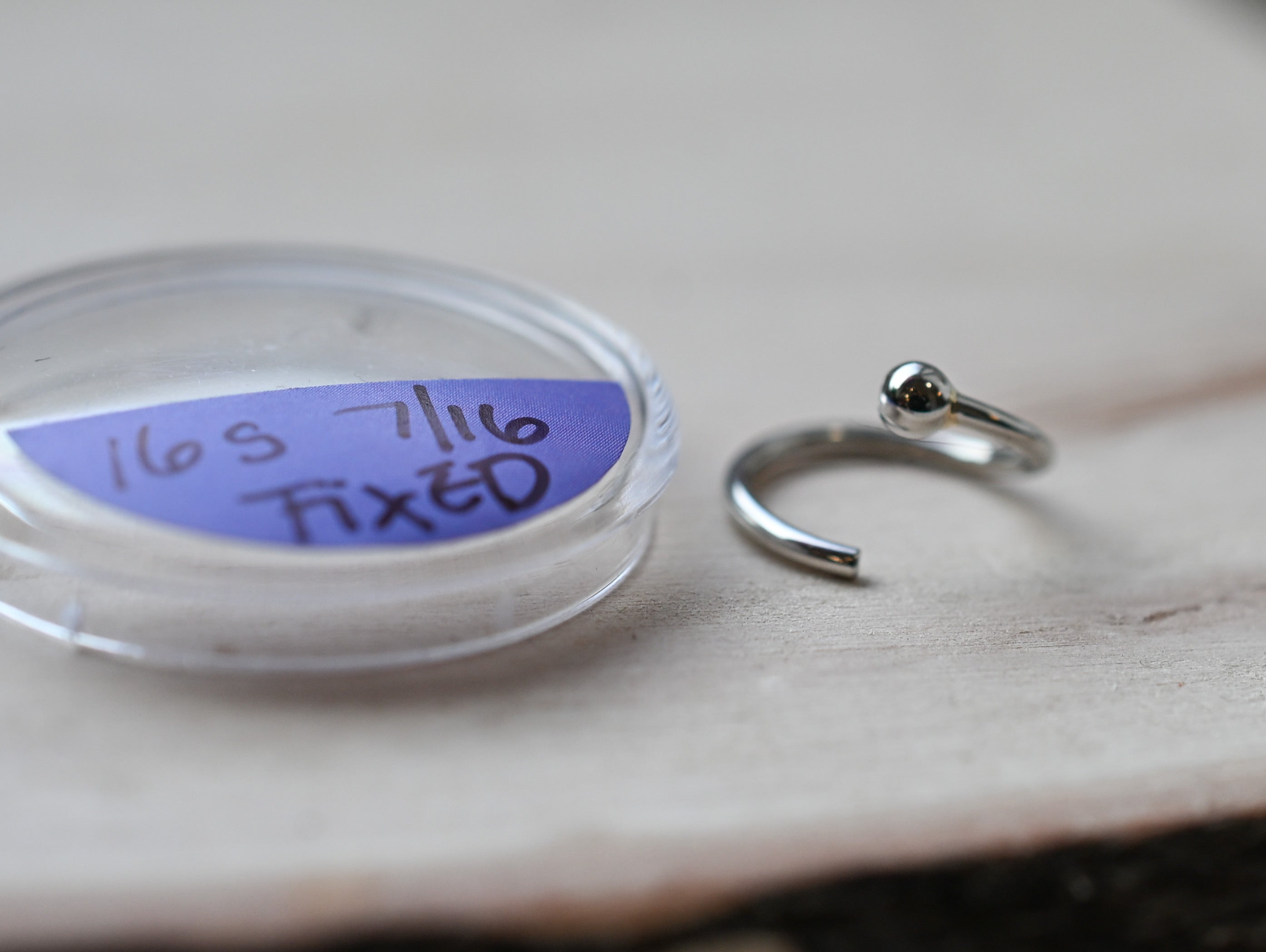 16g Stainless Steel Fixed Bead Ring by Anatometal