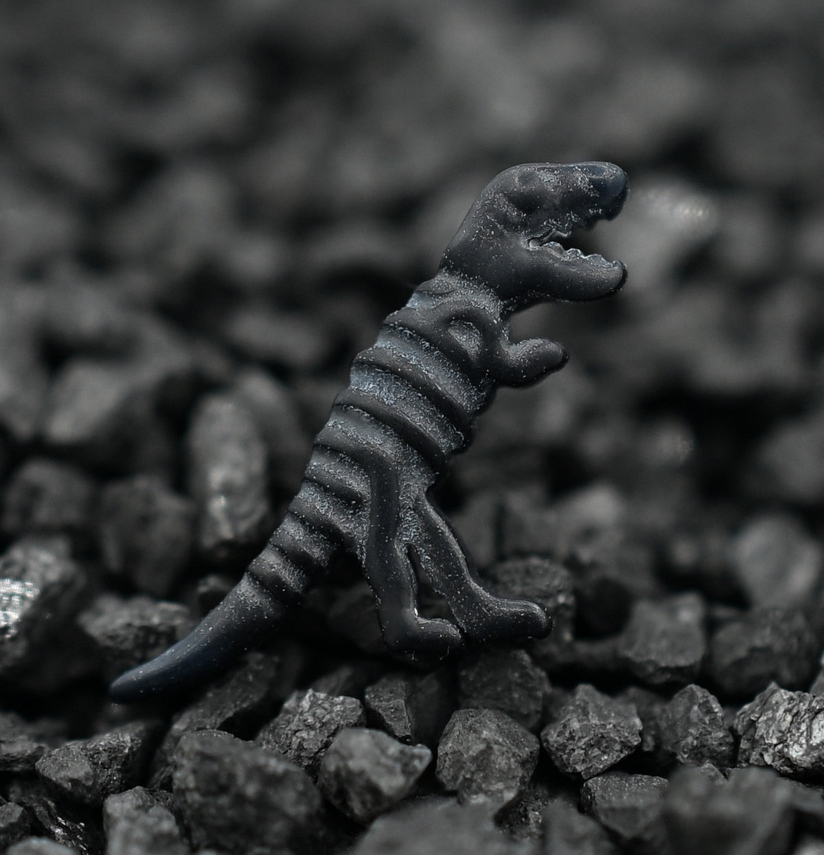 Dinosaur Matte Black Niobium by Black Forest