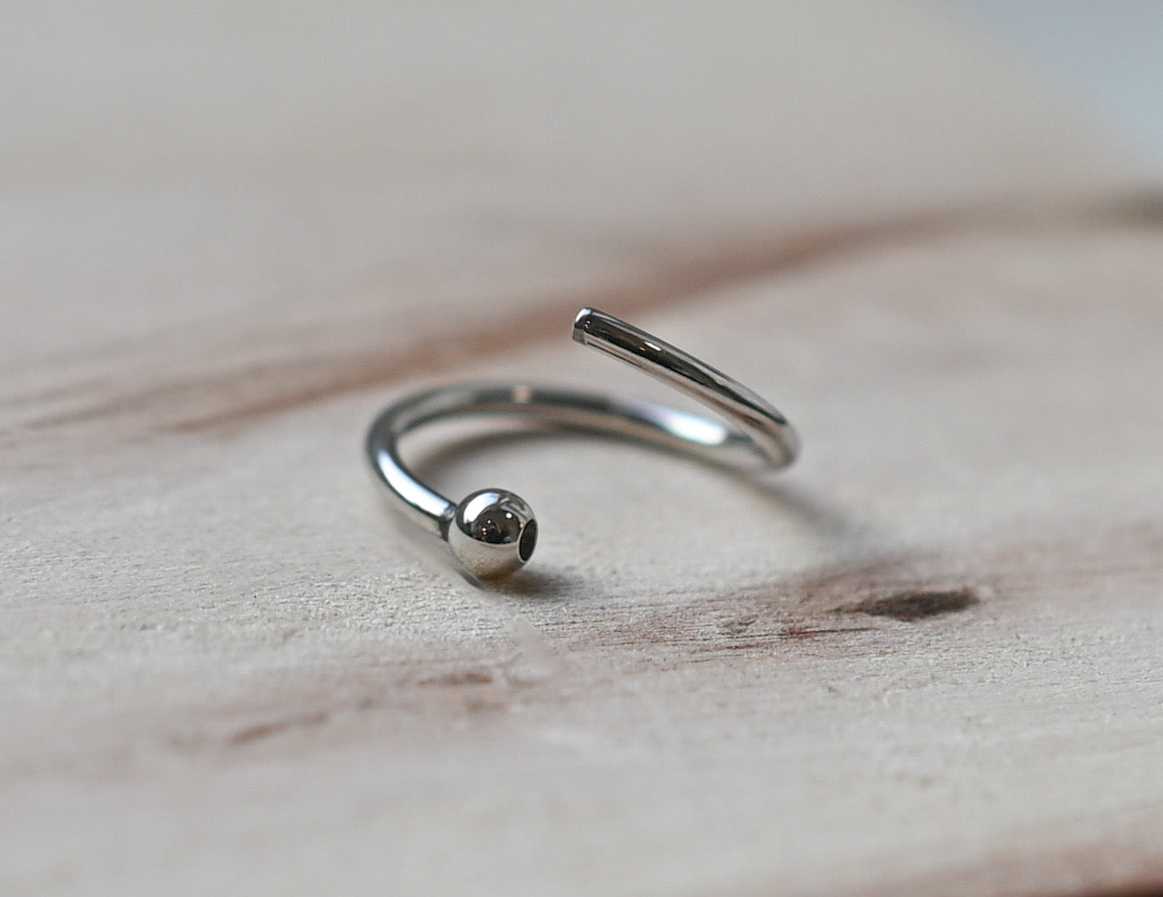 18g Stainless Steel Fixed Bead Ring by Anatometal