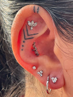 Marquise Fan w/ Marquise Accent by Industrial Strength