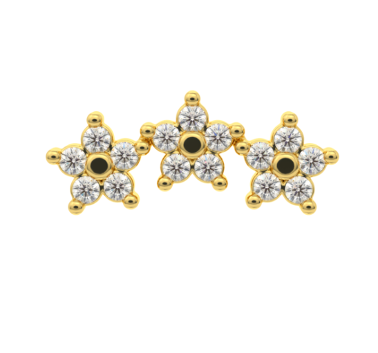 Starshine by Leroi