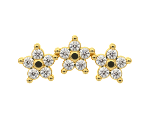 Starshine by Leroi