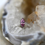 Titanium Single Marquise by Anatometal (ALL COLORS)