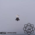 Titanium Star by People's Jewelry