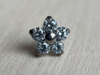 Daisy Flower (Small & Large) by NeoMetal