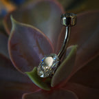 Oval Cut Navel Curve by Anatometal