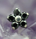 Daisy Flower (Small & Large) by NeoMetal