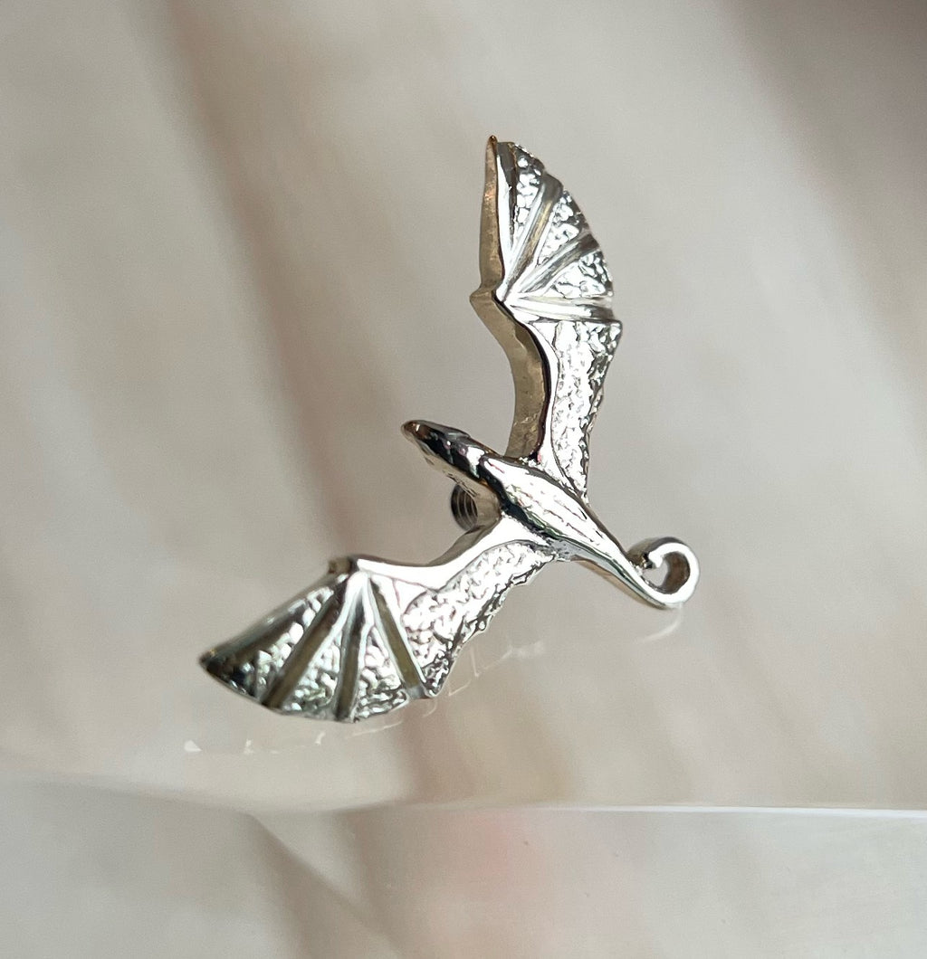 Flying Dragon by NorVoch