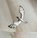 Flying Dragon by NorVoch