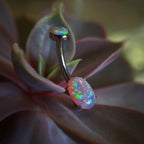 Oval Cut Navel Curve by Anatometal