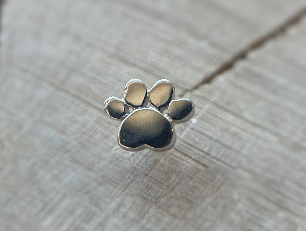 Paw Print by Junipurr