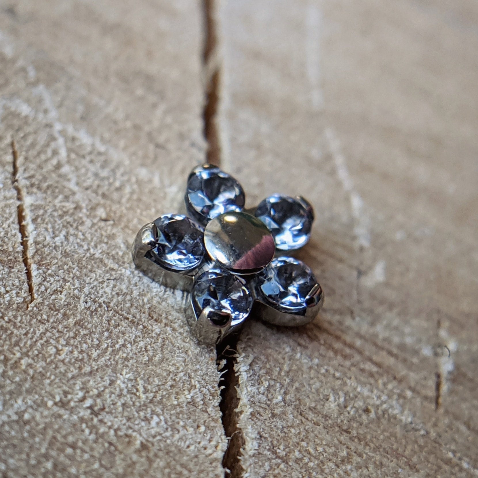 Small Daisy Flower by NeoMetal (ALL COLORS)