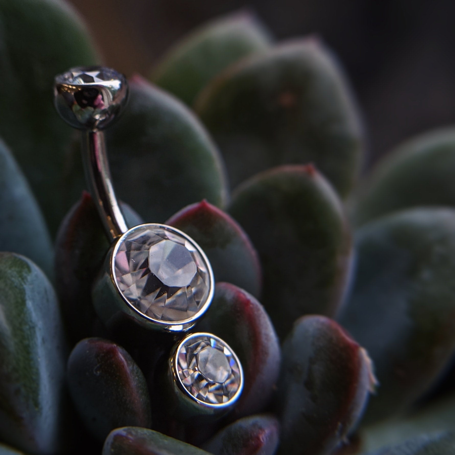 SHORT Gemini Navel Curve by (10 DIFFERENT COLORS) Industrial Strength