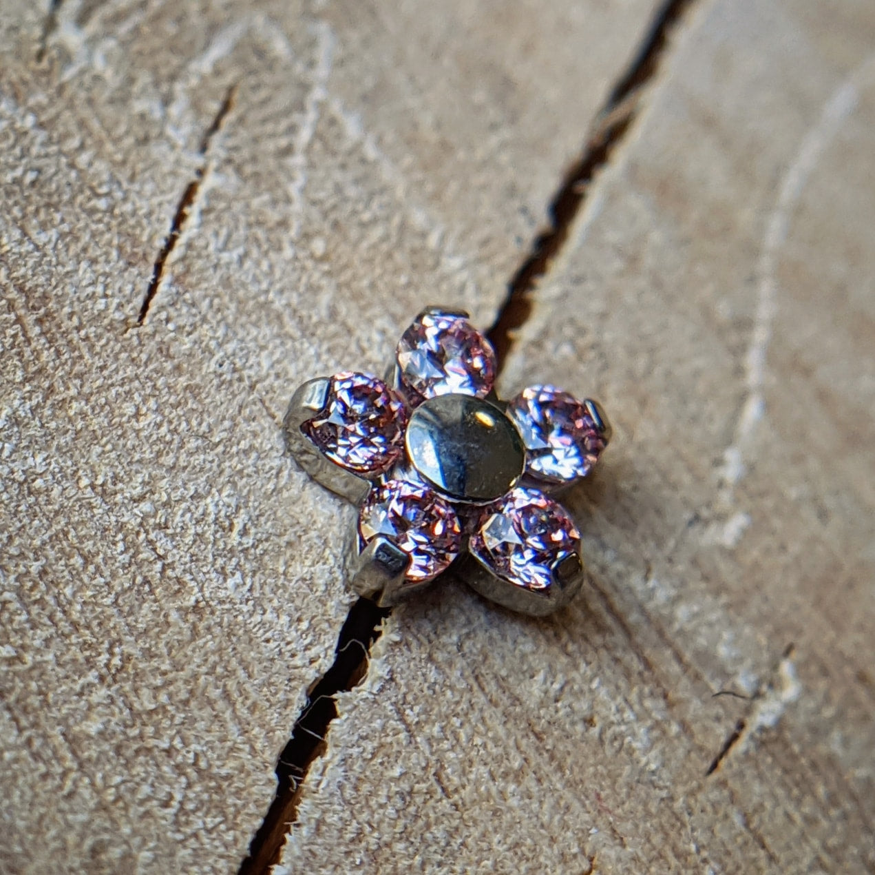 Small Daisy Flower by NeoMetal (ALL COLORS)