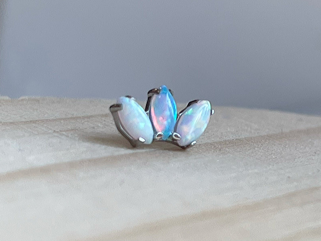 Marquise Fan by Industrial Strength