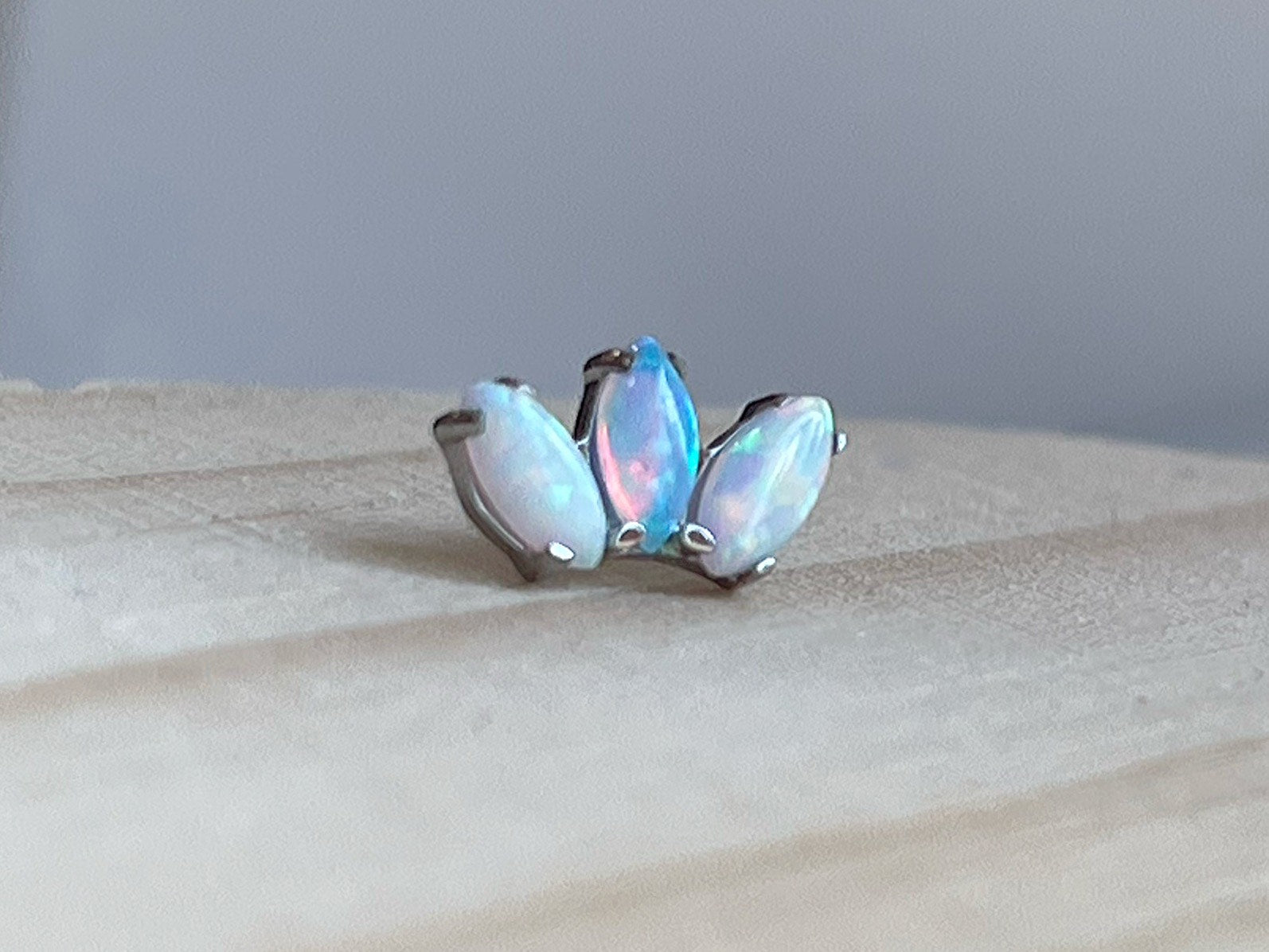 Marquise Fan by Industrial Strength