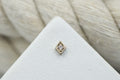 Prism (White CZ) by Mushroom Body Jewelry