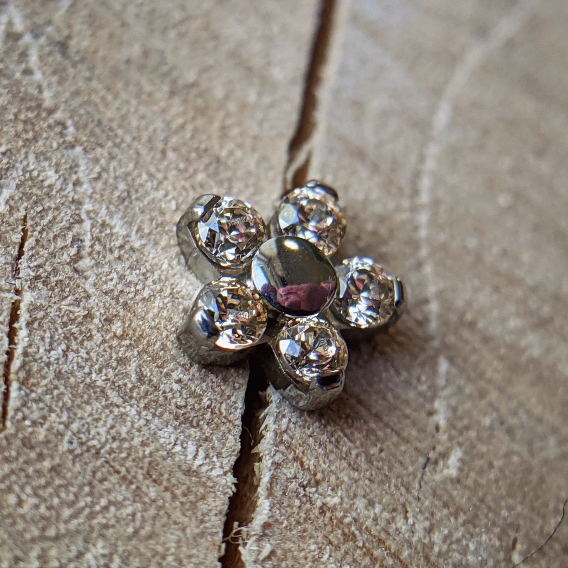 Daisy Flower (Small & Large) by NeoMetal