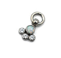 Whimsy-CF Cabochon Charm by LeRoi