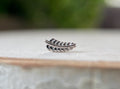 Mini Quill by Junipurr
