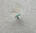 Tsavorite Mishka 3-Prong by Buddha Jewelry