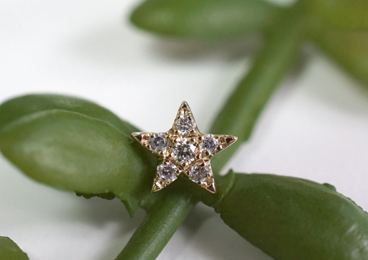 Charlotte (5 Point Star) by Modern Mood