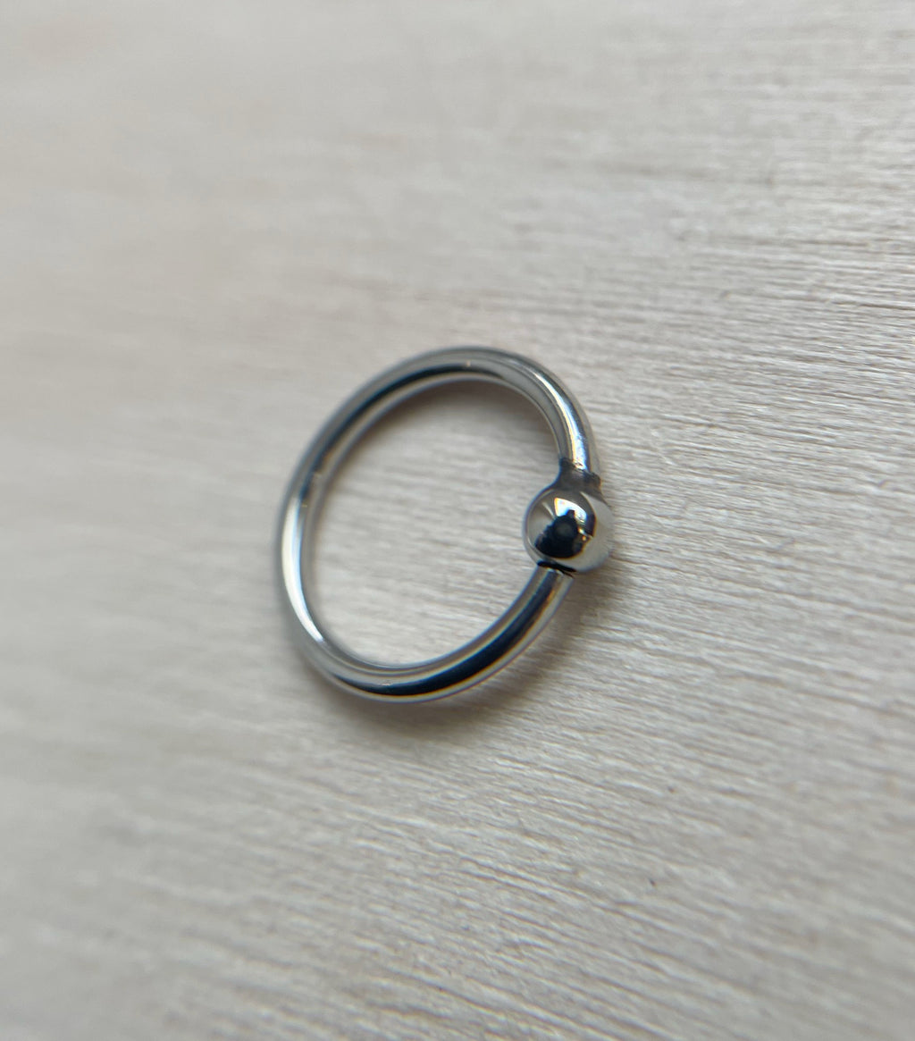 16g Stainless Steel Fixed Bead Ring by Anatometal
