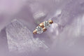 Mishka Prong Double by Buddha Jewelry
