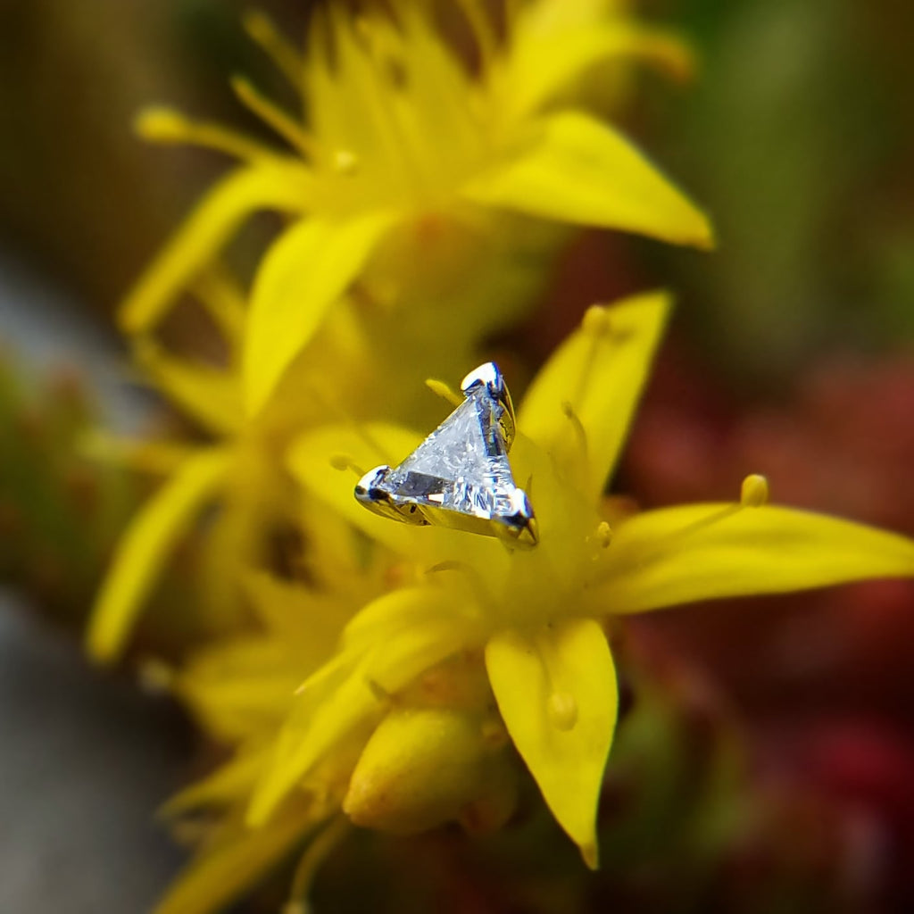 Trillion by Buddha Jewelry Organics