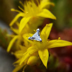 Trillion by Buddha Jewelry Organics