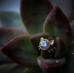 Lil Kitty w/ 3mm Stone by Body Gems