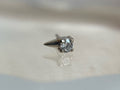 Spikey (Clear CZ) by Mushroom Body Jewelry