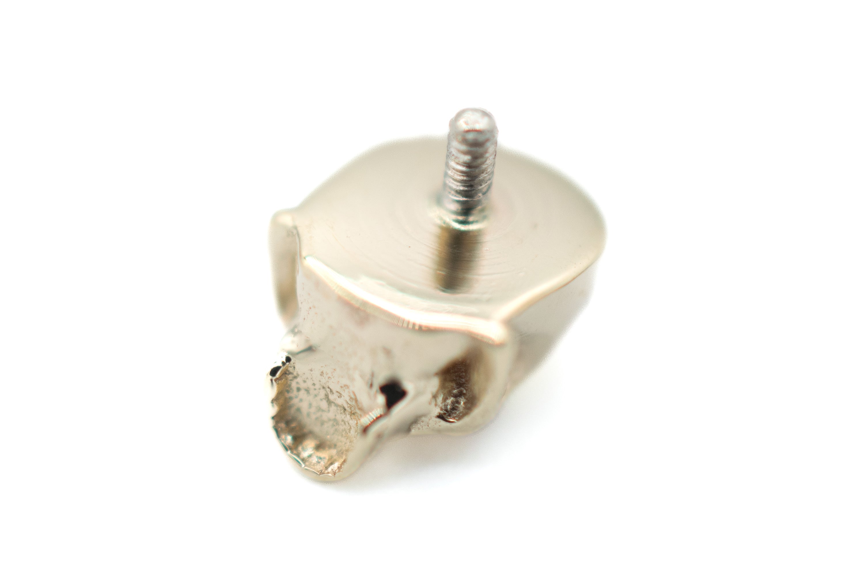 Skull with Gems by NorVoch