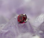 Ruby CZ Prong by NeoMetal