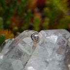 Single Swirl by BVLA